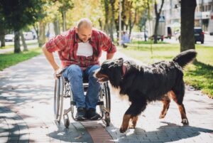 A truck accident victim in a wheelchair. An Albuquerque truck accident lawyer can fight for maximum compensation.